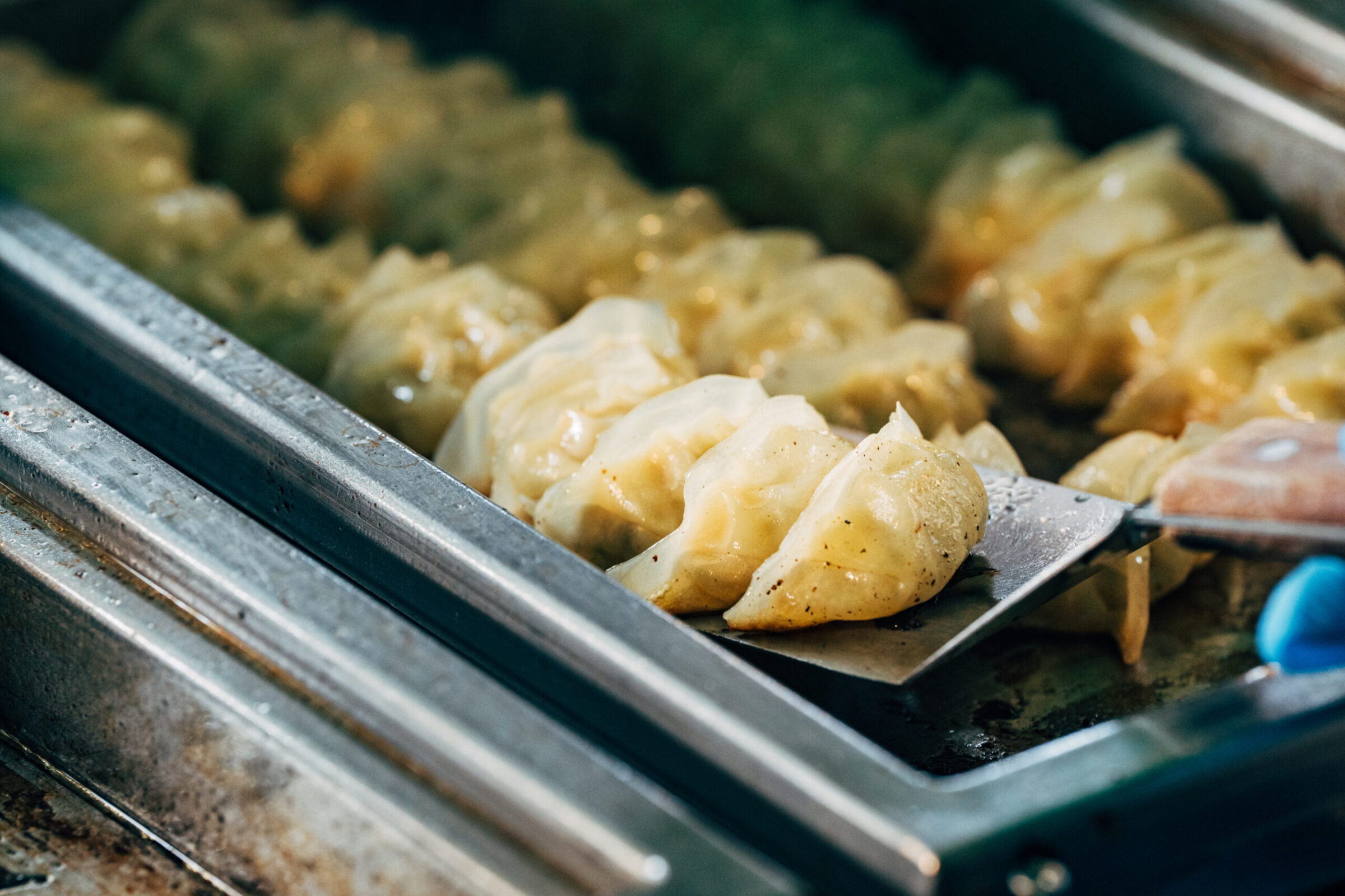 餃子　盛付
