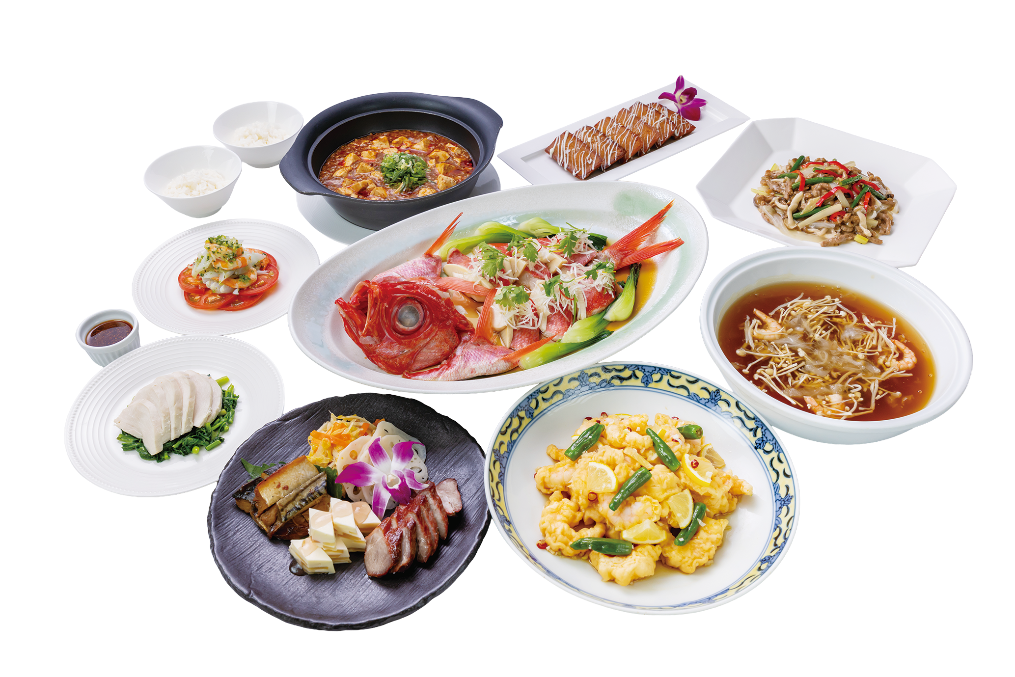 本店コースの料理全体
